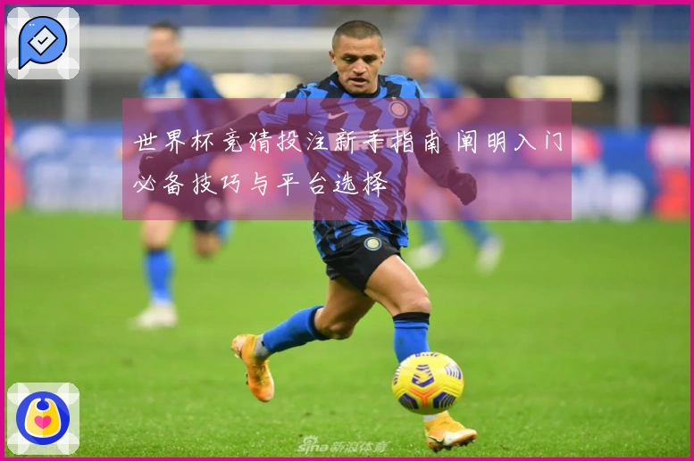 世界杯竞猜投注新手指南 阐明入门必备技巧与平台选择