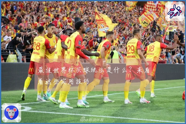 最佳世界杯买球玩法是什么？来看看这些实用技巧