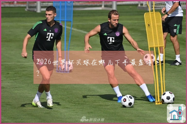 2026世界杯买球在哪儿下手最靠谱？