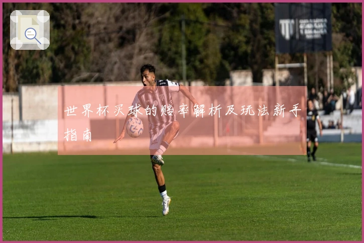 世界杯买球的赔率解析及玩法新手指南