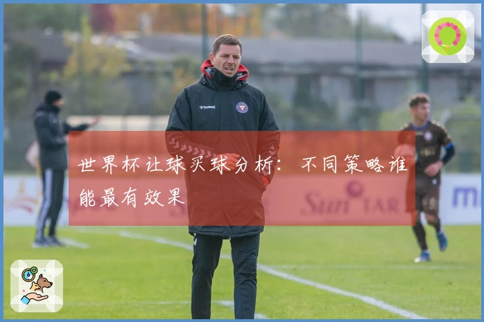 世界杯让球买球分析：不同策略谁能最有效果