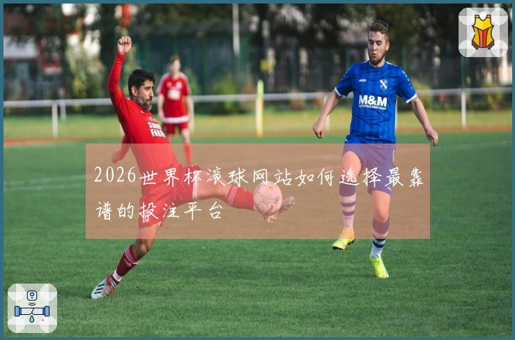 2026世界杯滚球网站如何选择最靠谱的投注平台