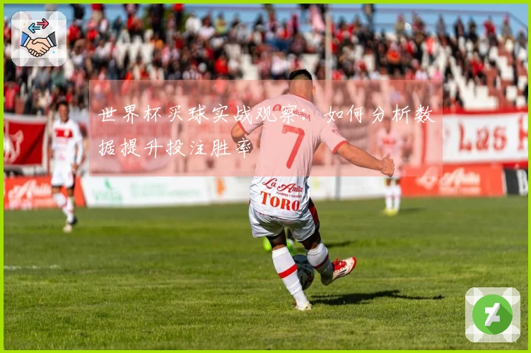世界杯买球实战观察：如何分析数据提升投注胜率