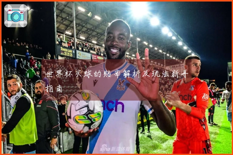 世界杯买球的赔率解析及玩法新手指南