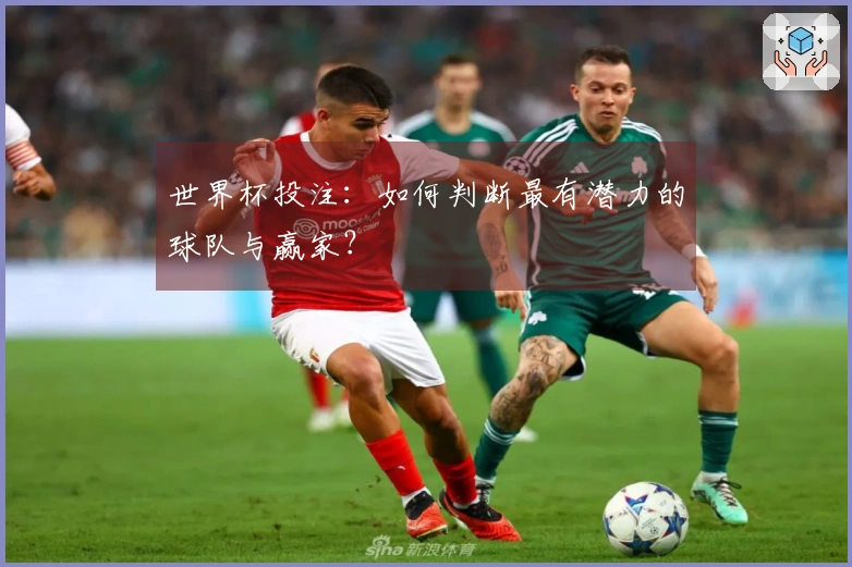 世界杯投注：如何判断最有潜力的球队与赢家？