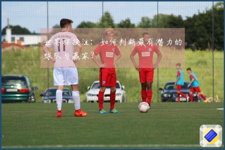 世界杯投注：如何判断最有潜力的球队与赢家？